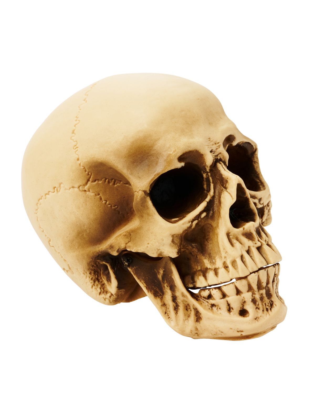 Vinyl Skull - Image 2