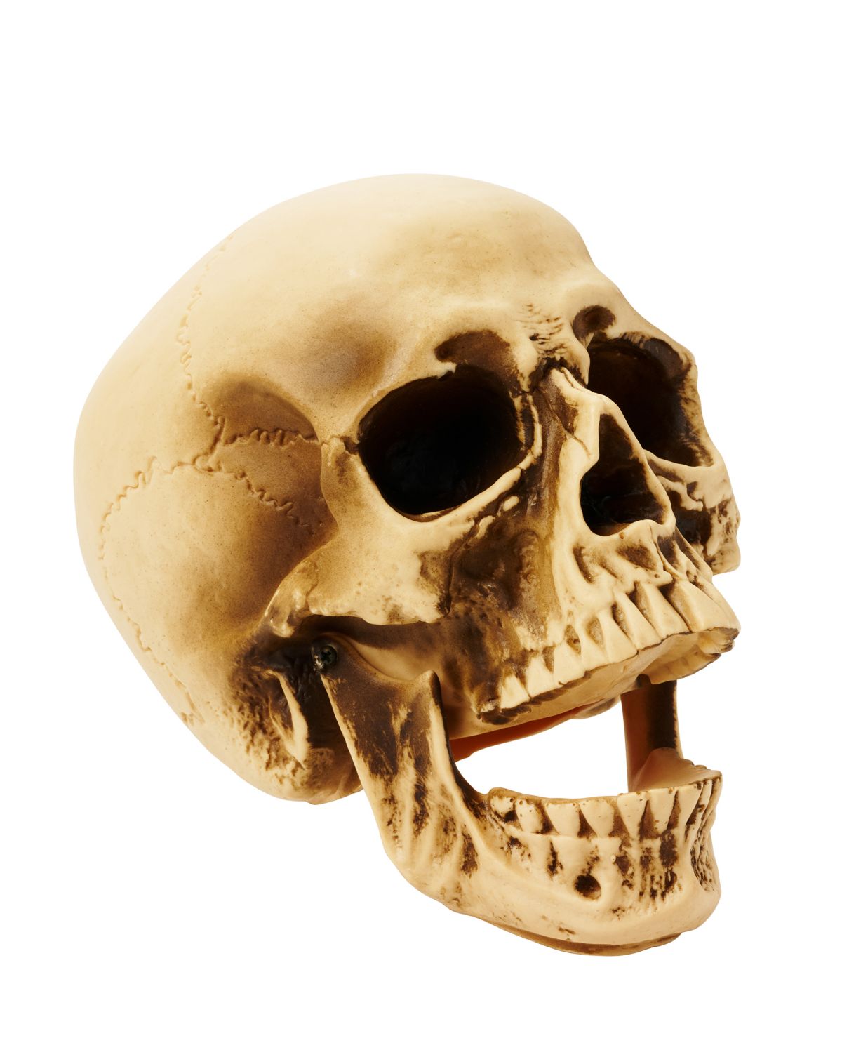 Vinyl Skull - Image 3