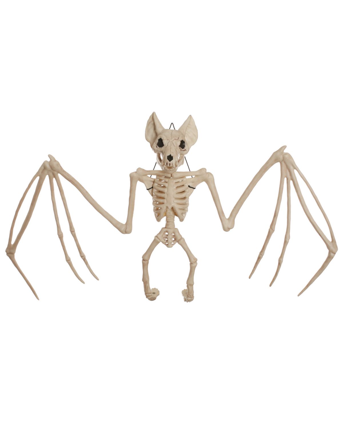 22.5 Inch Bat Skeleton