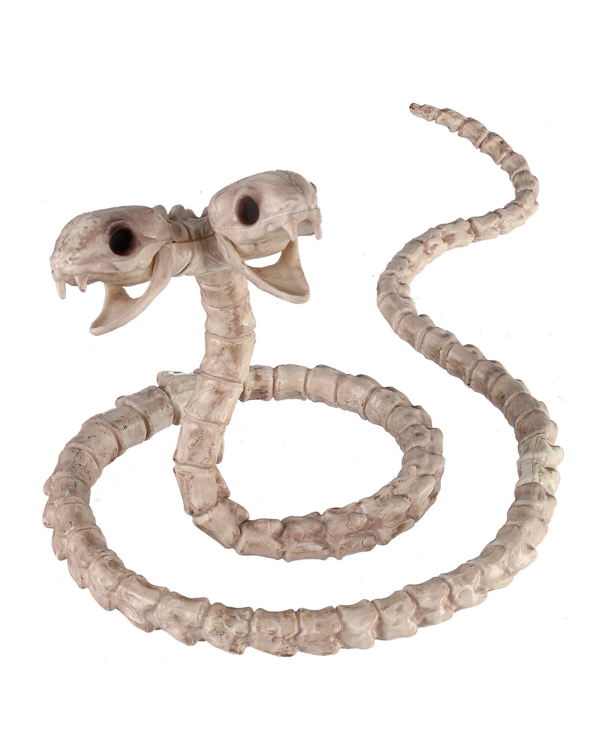 Two-Headed Snake Skeleton - Decorations - Image 2