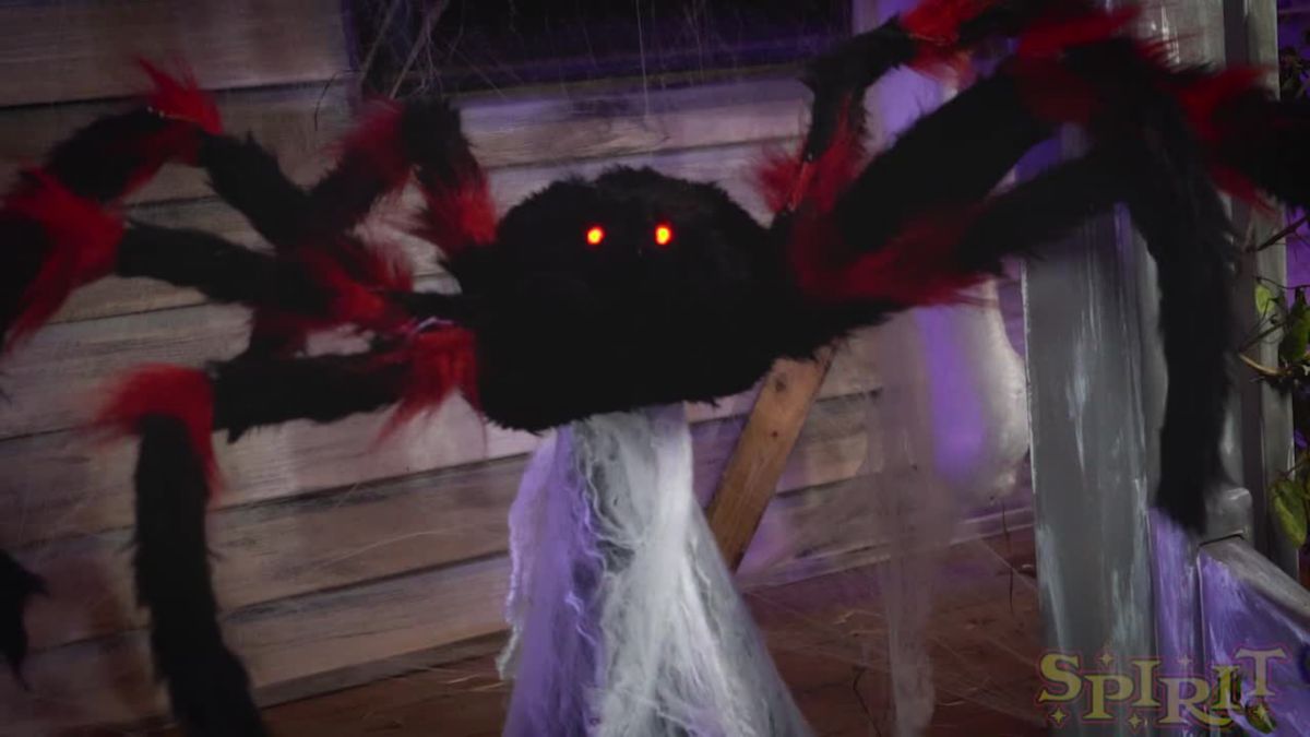 21 Inch LED Red and Black Jumping Spider Animatronic - Image 4