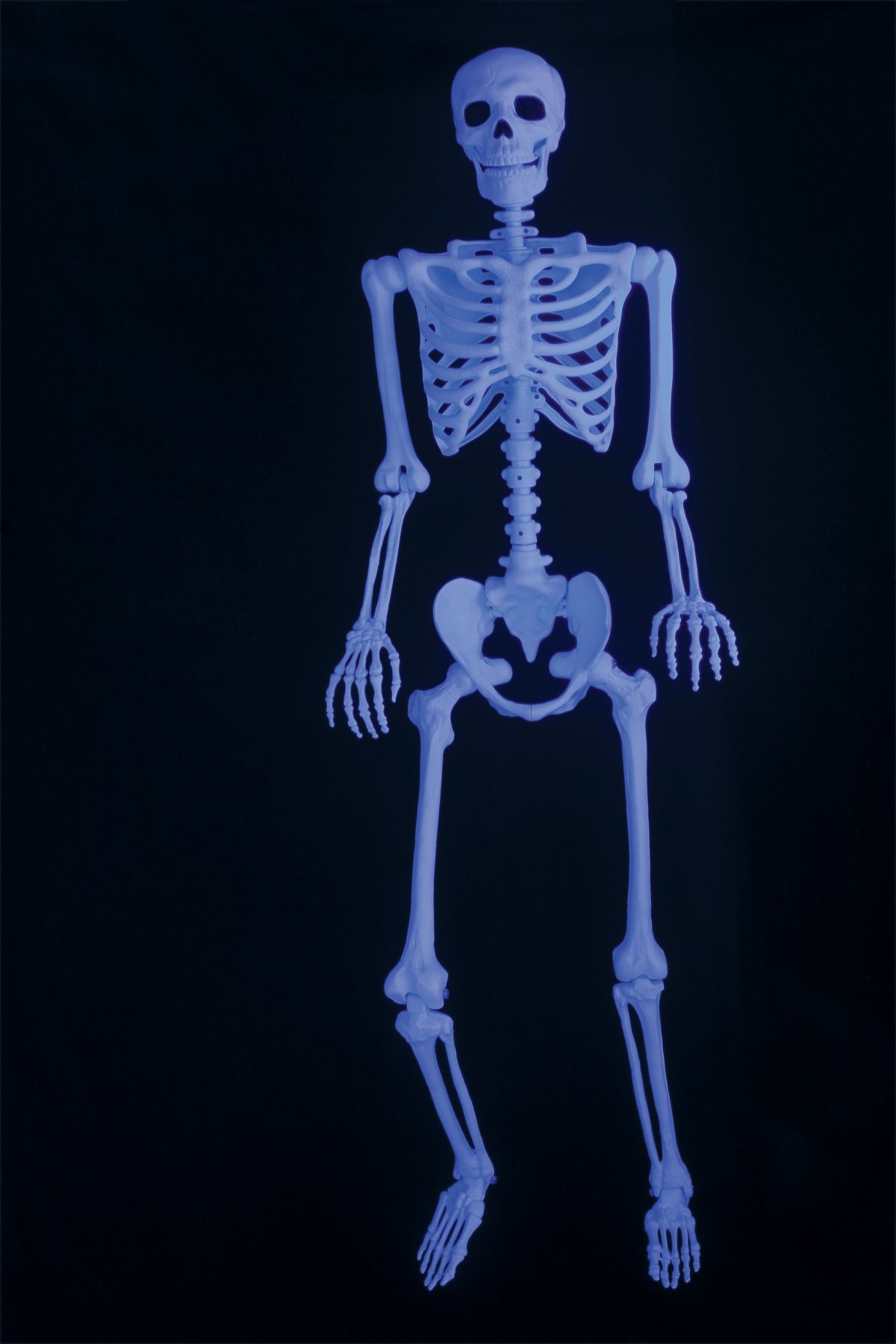 5 Ft Black Light Pose u0027Nu0027 Stay Skeleton