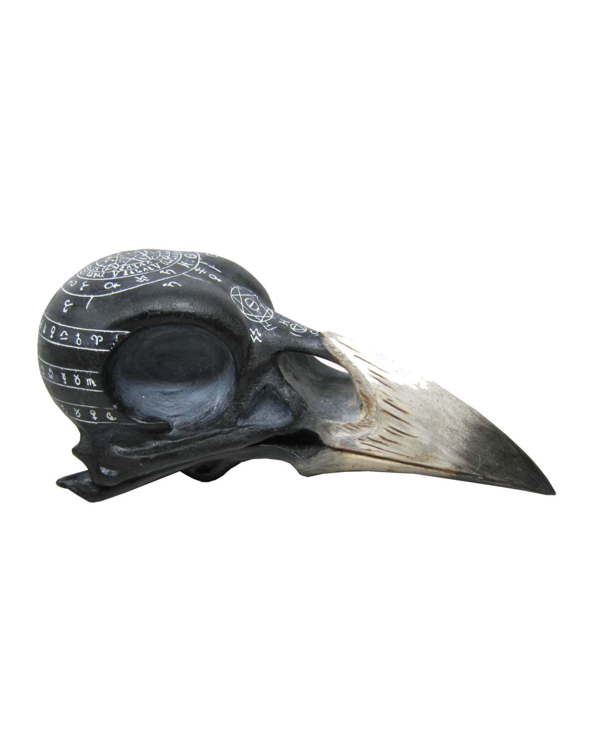 Mystical Arts Crow Skull - Image 2