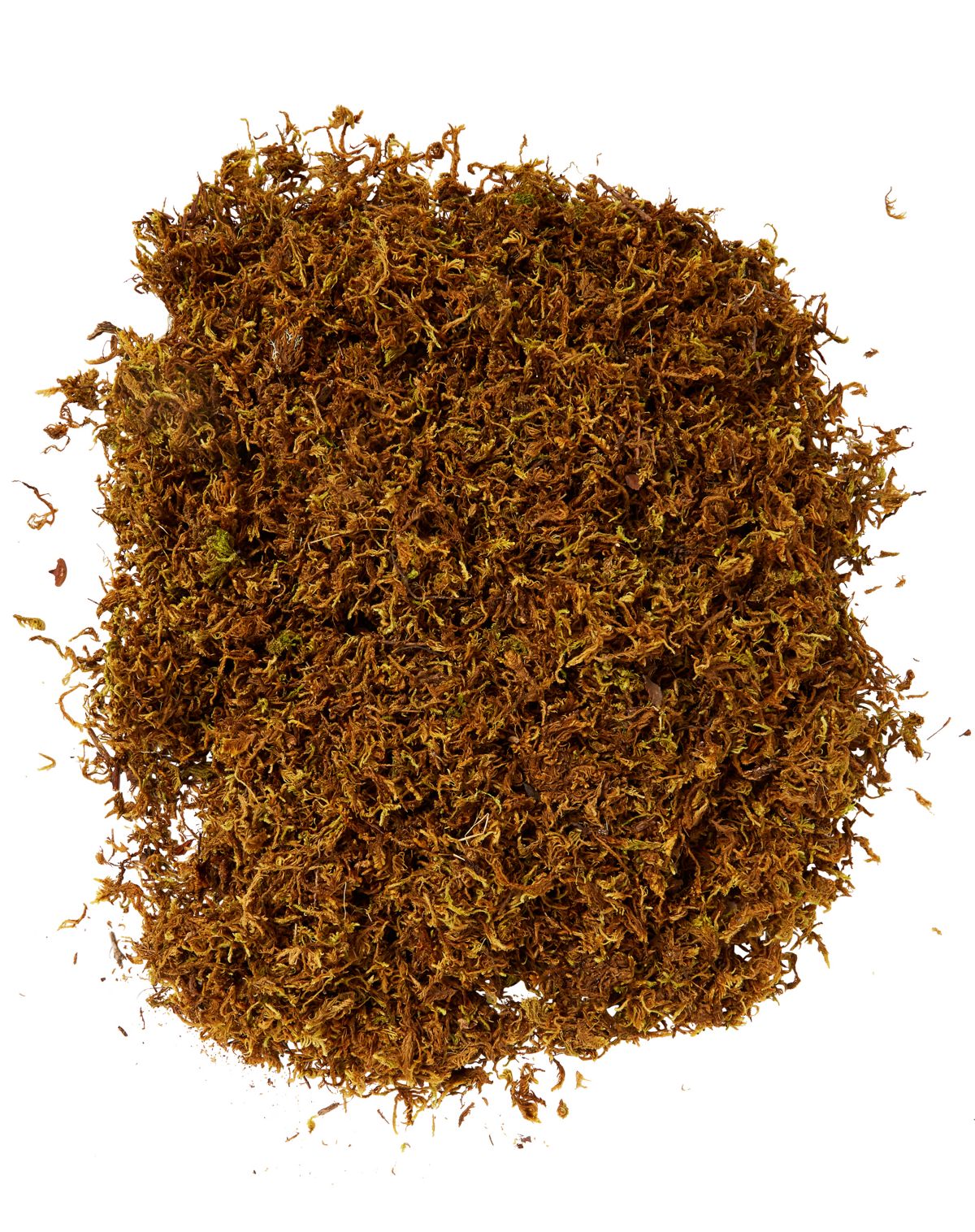 Fake Moss - Image 2
