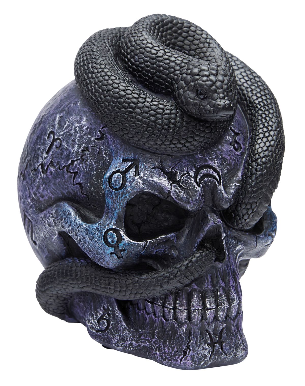 Mystical Arts Snake Skull - Image 3