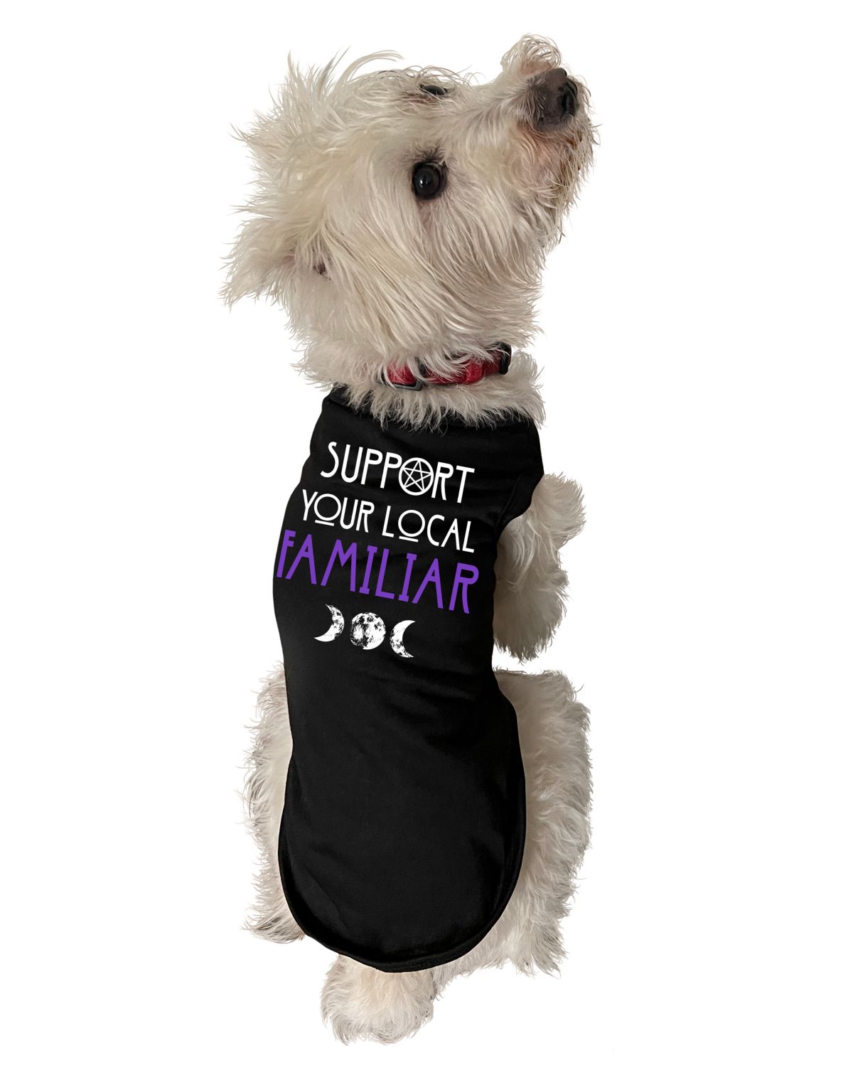 Tricks for Treats Pet Costume