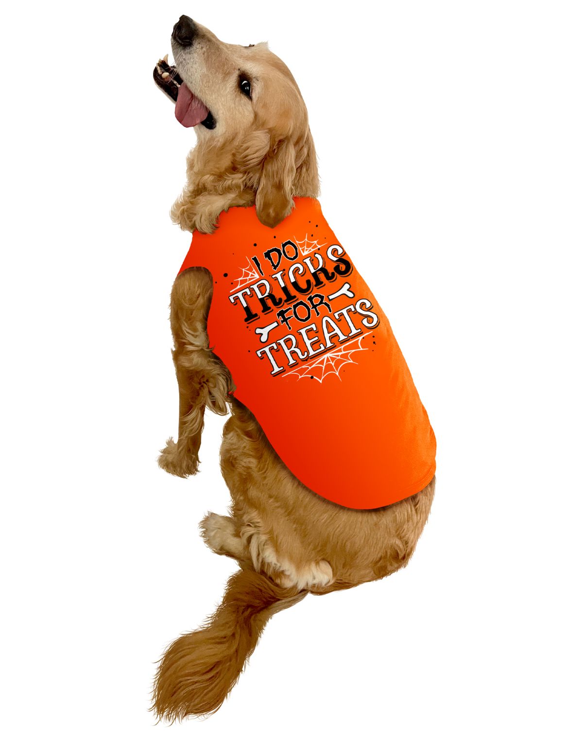 Harley Quinn Pet Costume - DC Villains