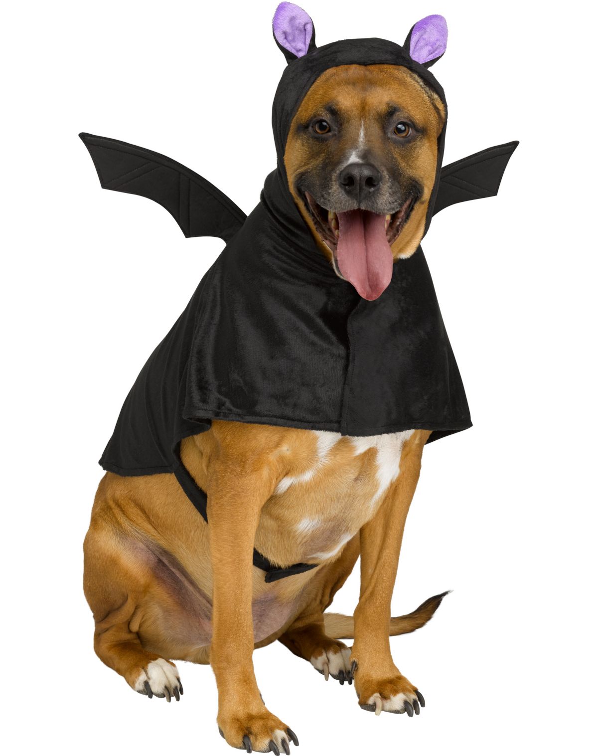 Butterfinger Pet Costume