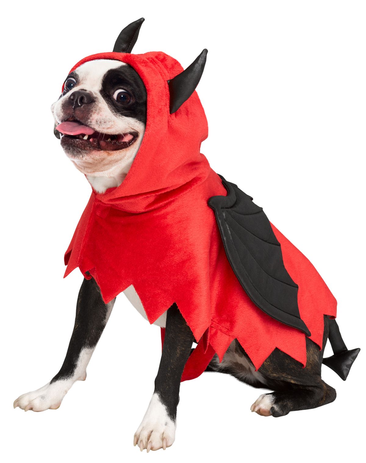 Devil Pet Costume