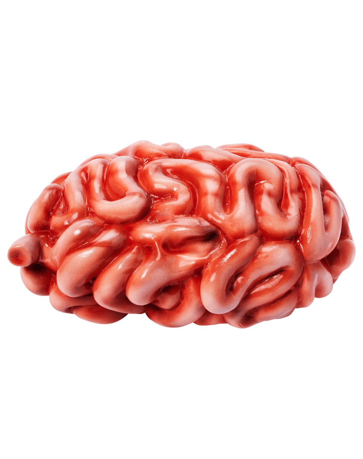 Intestines Prop - Image 3