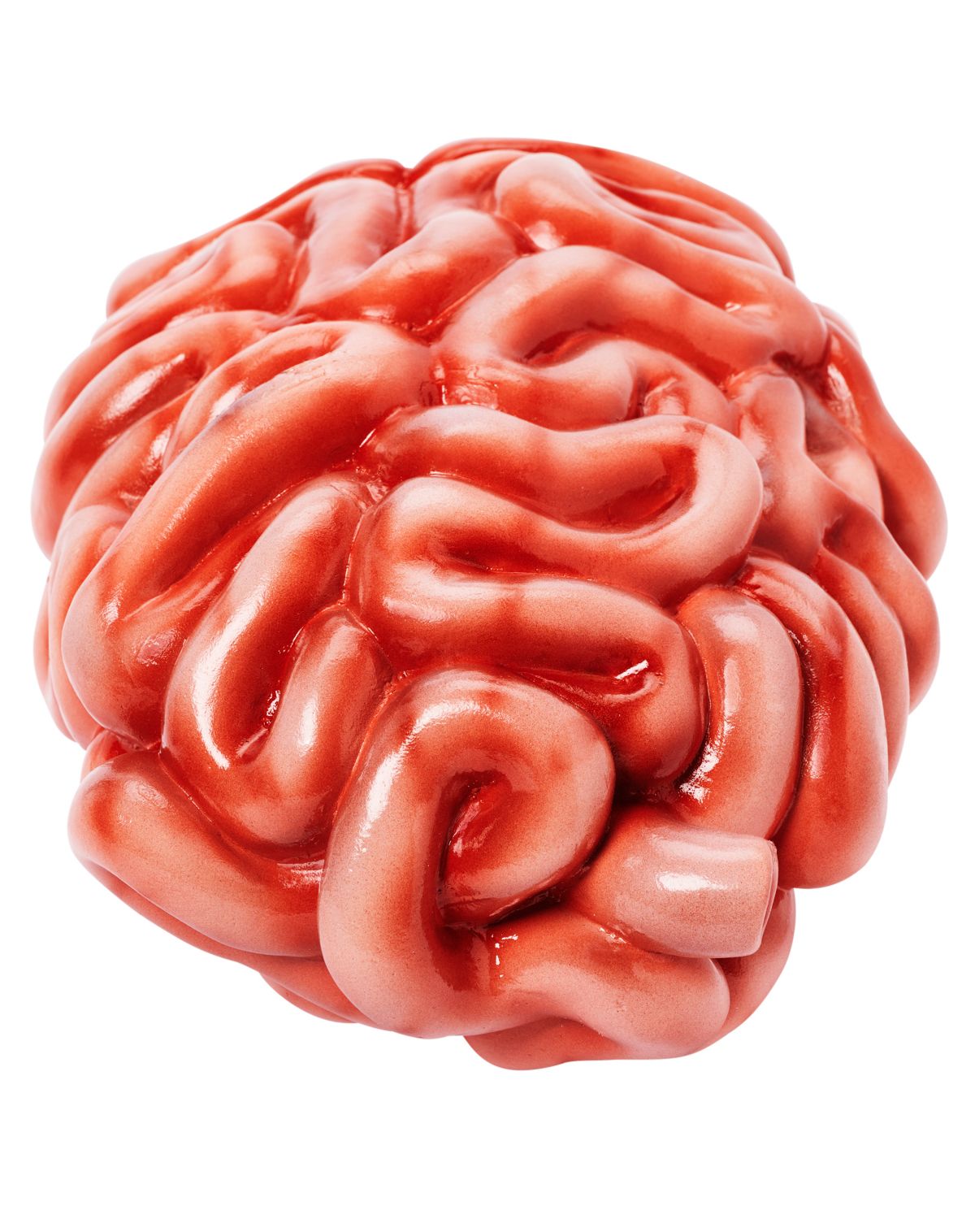 Intestines Prop - Image 4