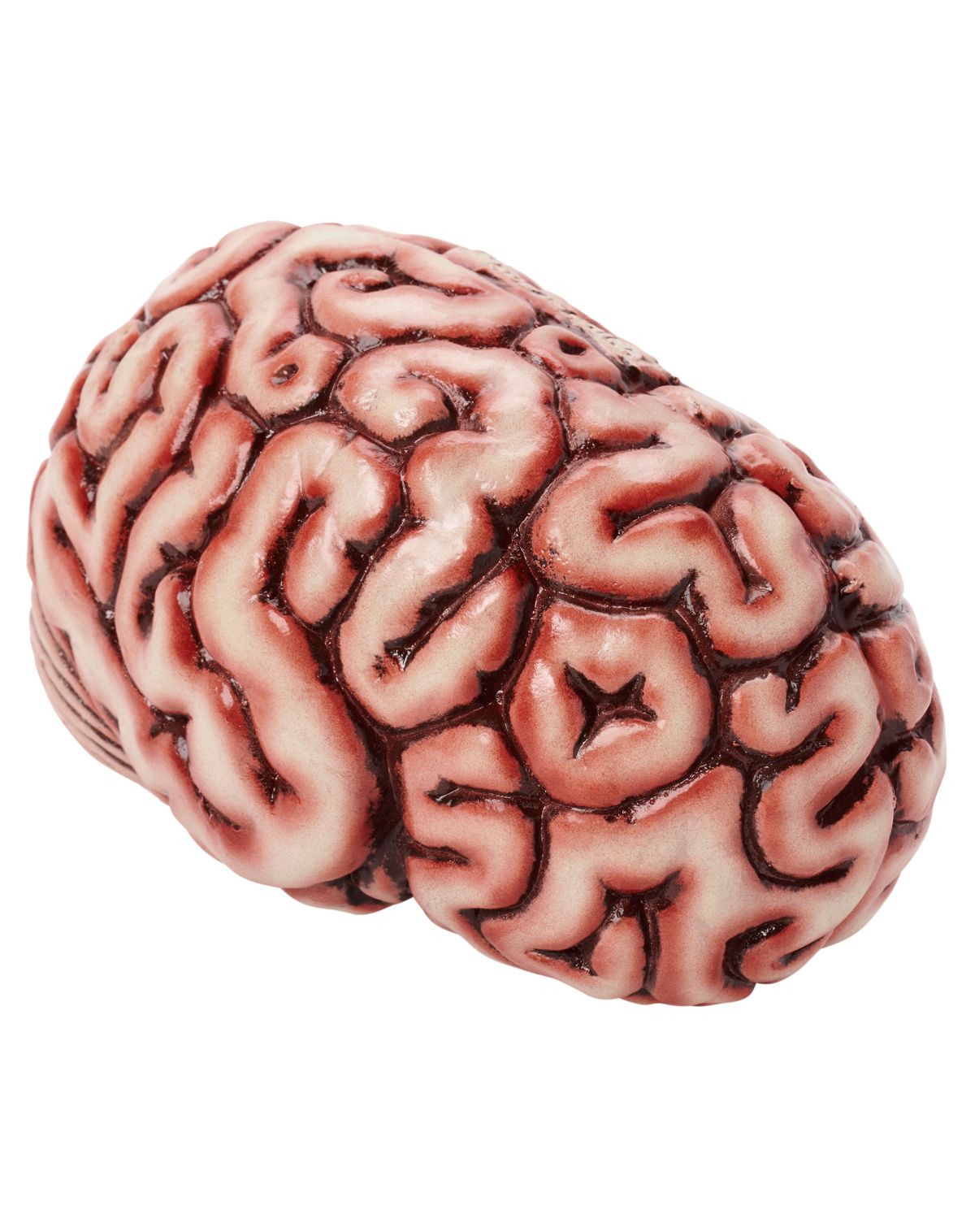 Brain Prop - Image 2