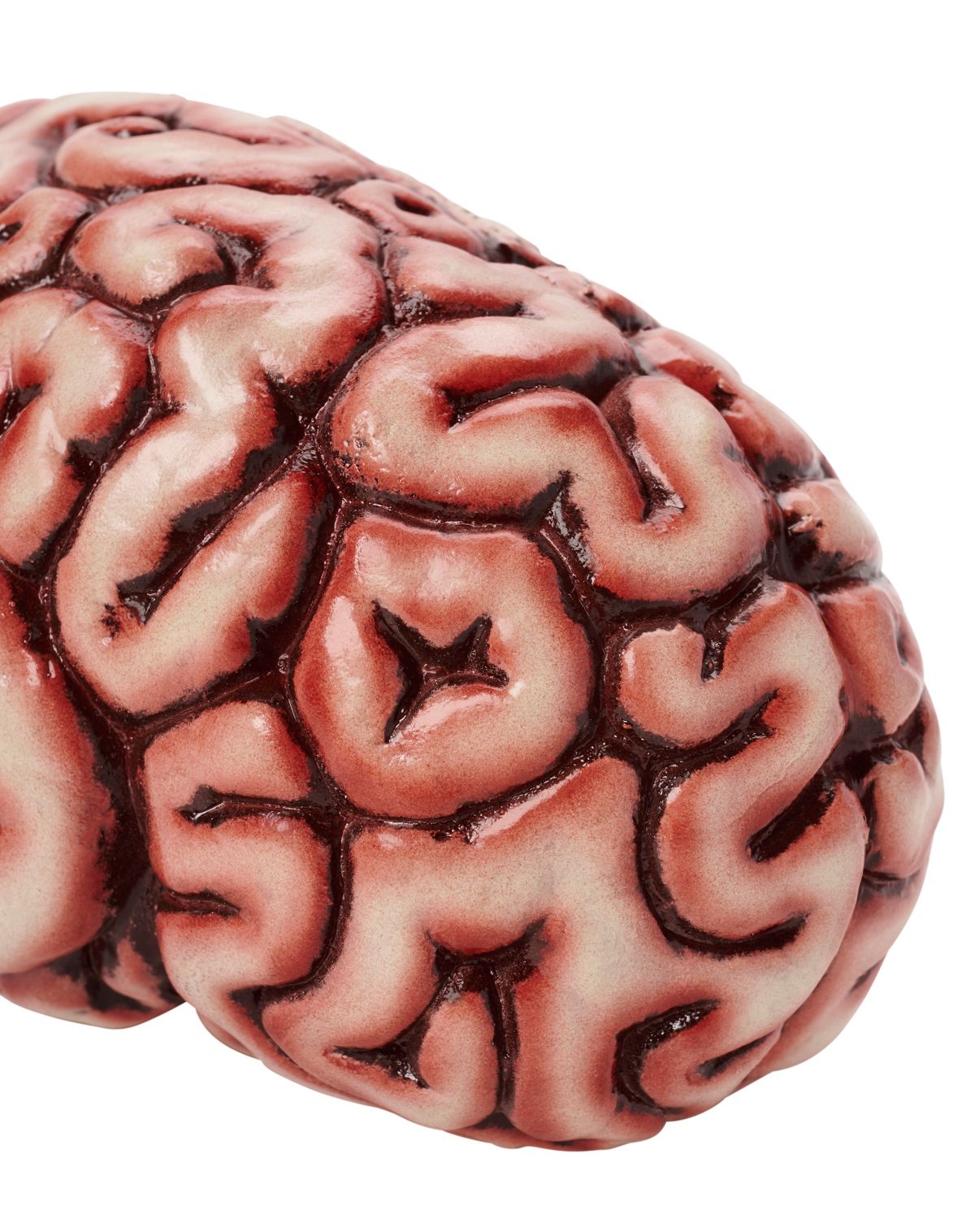 Brain Prop - Image 3