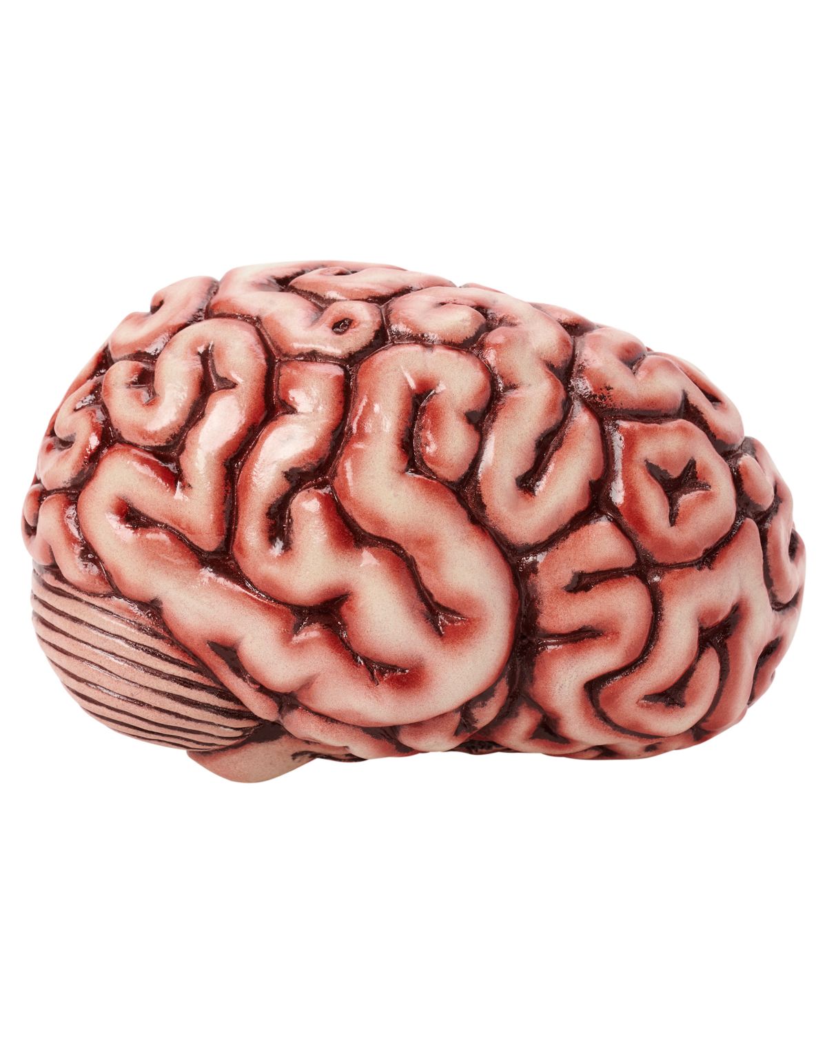 Brain Prop - Image 4
