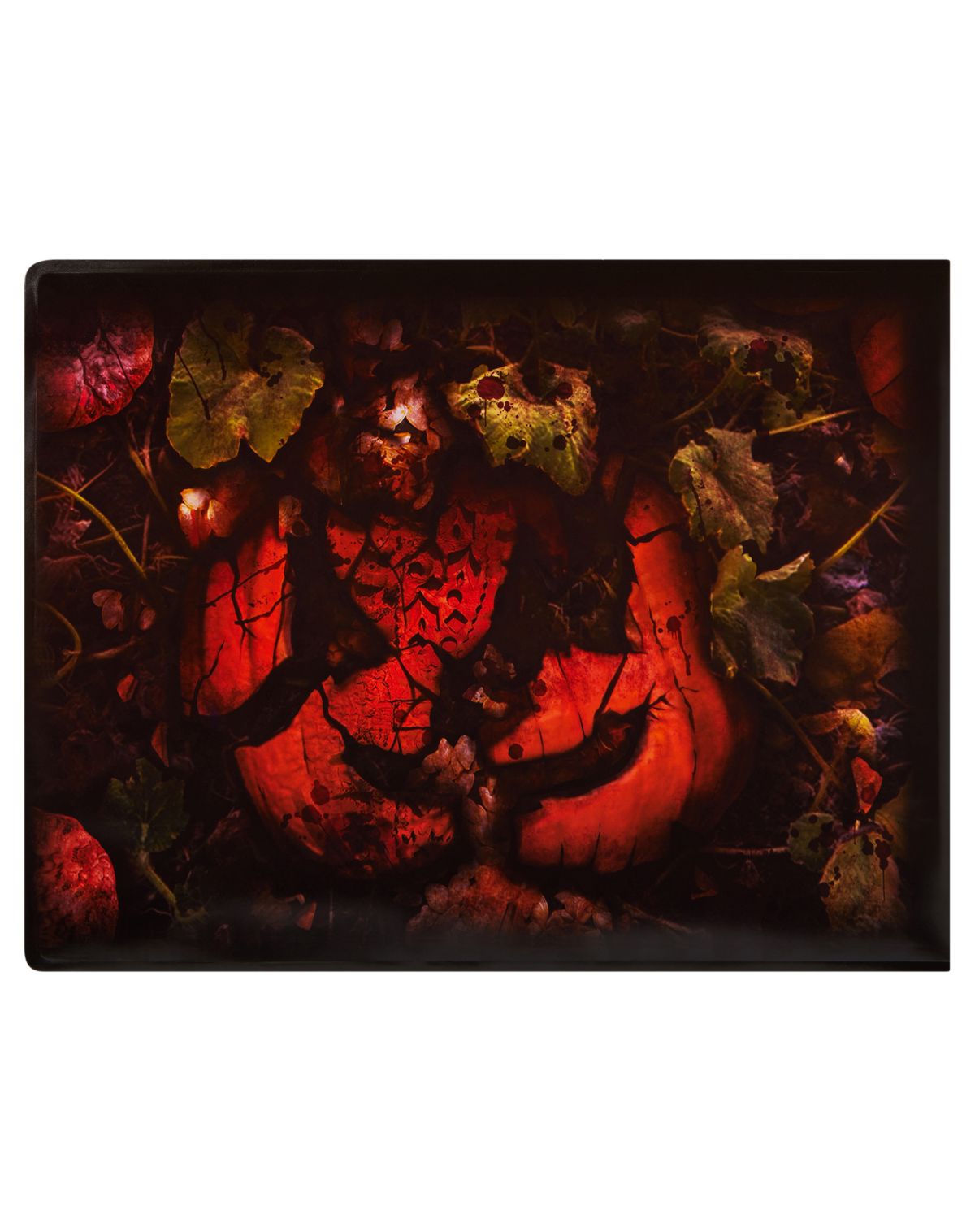 Step Pad Covers - 4 Pack - Image 4