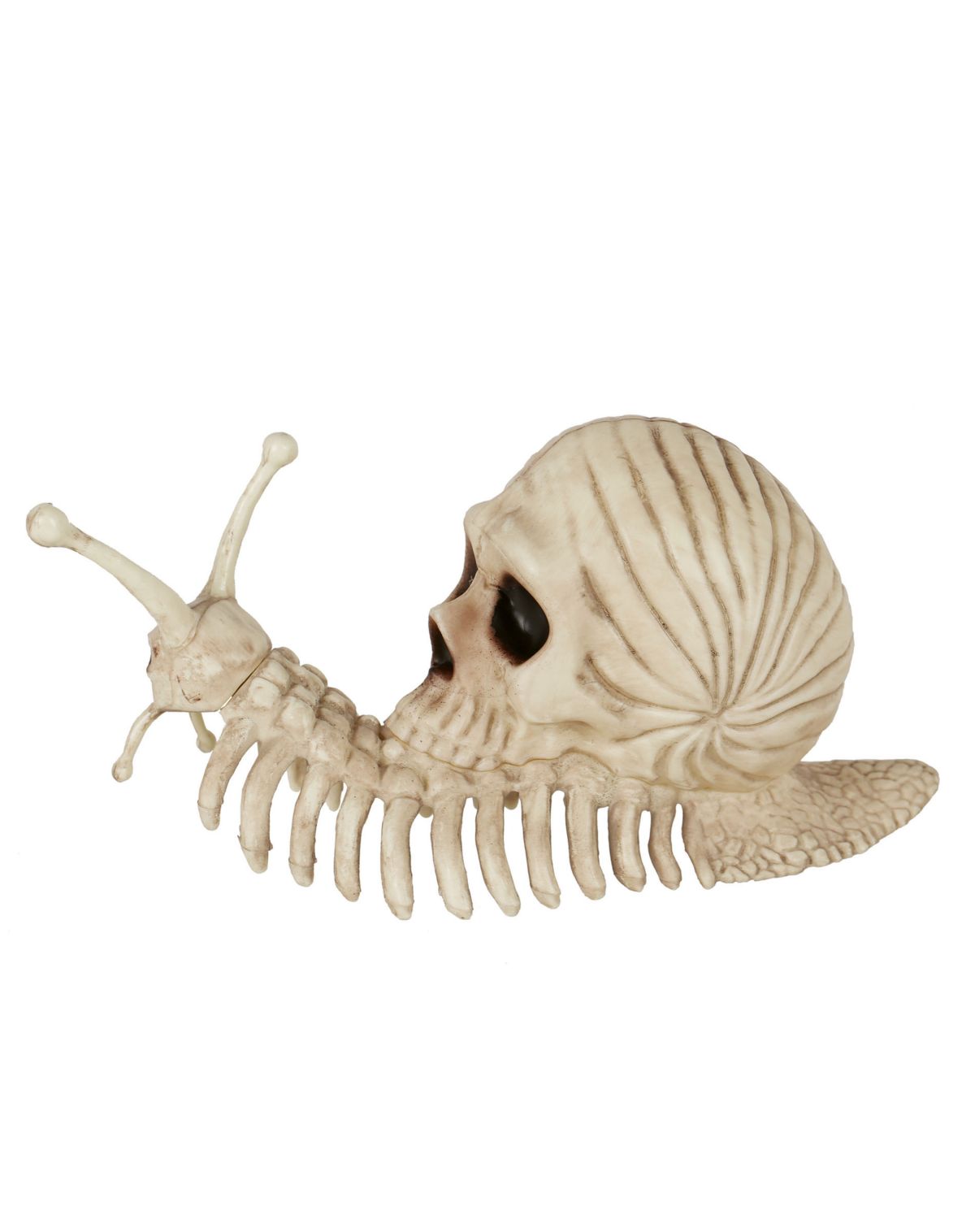 Skeleton Skull Snail - Image 3