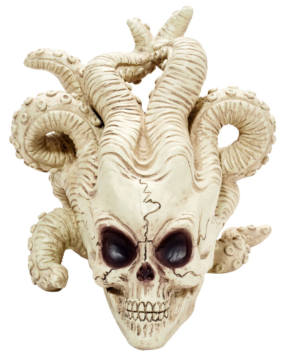 Alien Octopus Skull - Image 2