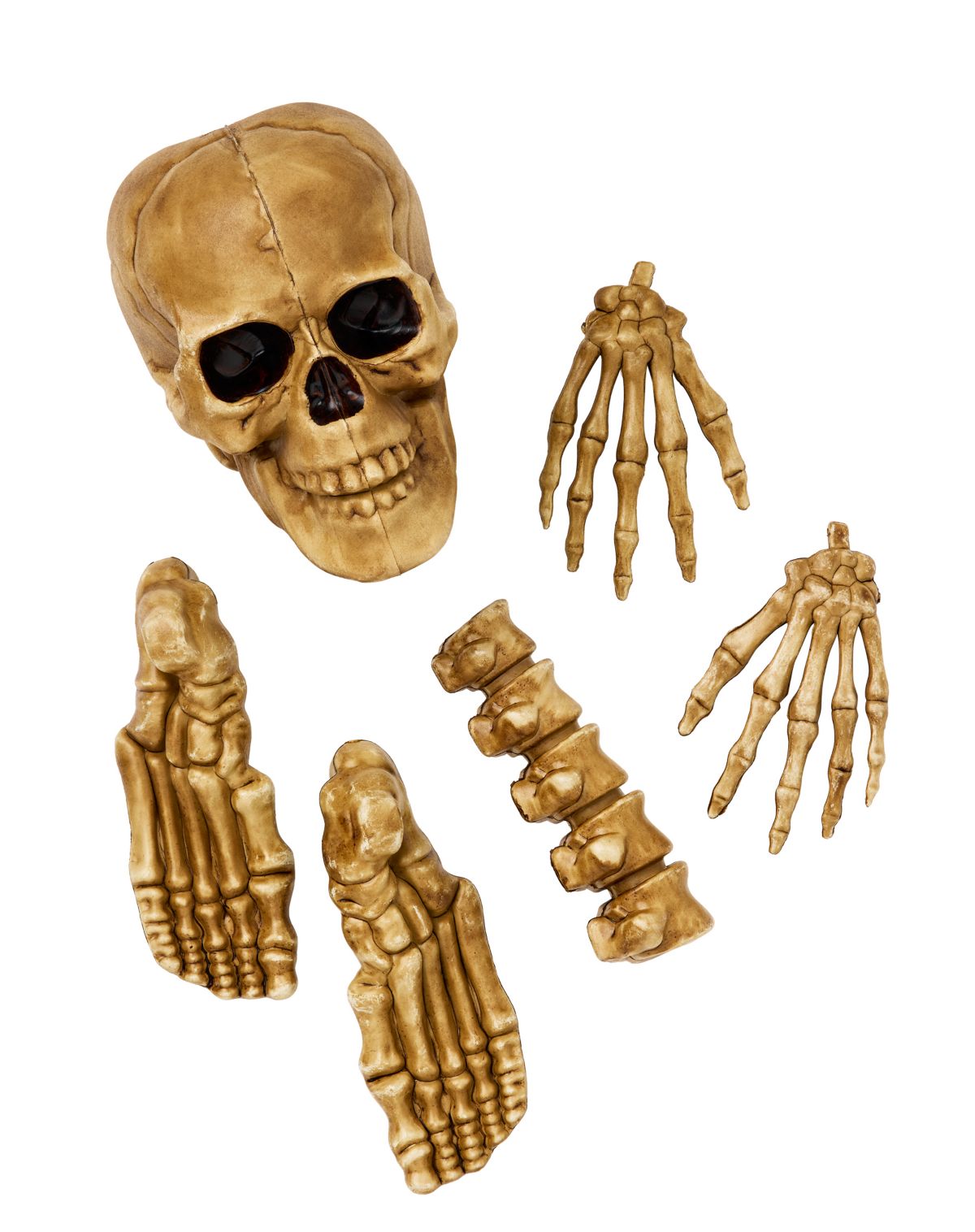 Decaying Bag of Bones Prop - Image 3