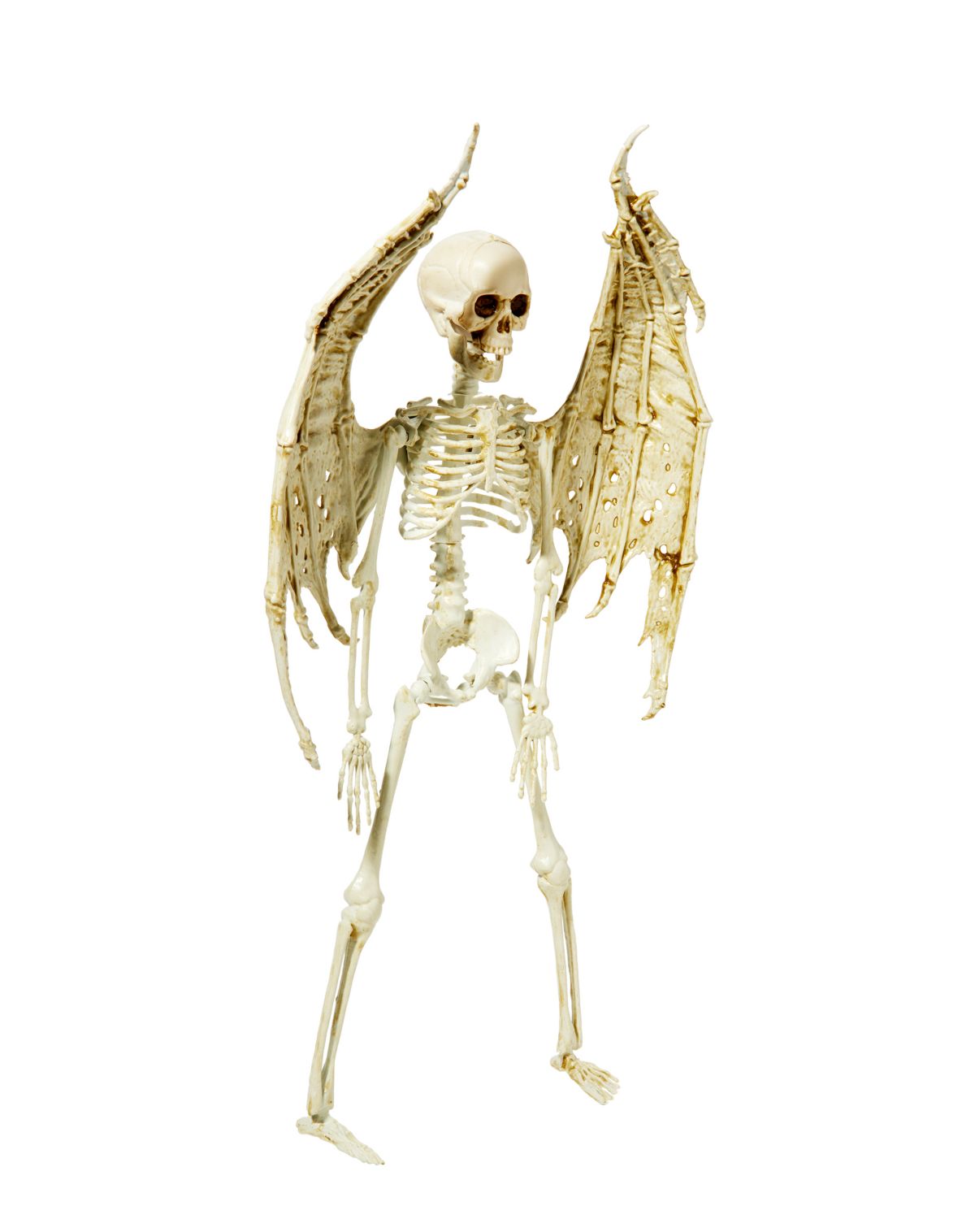 Angel Skeleton Static Prop - Image 3