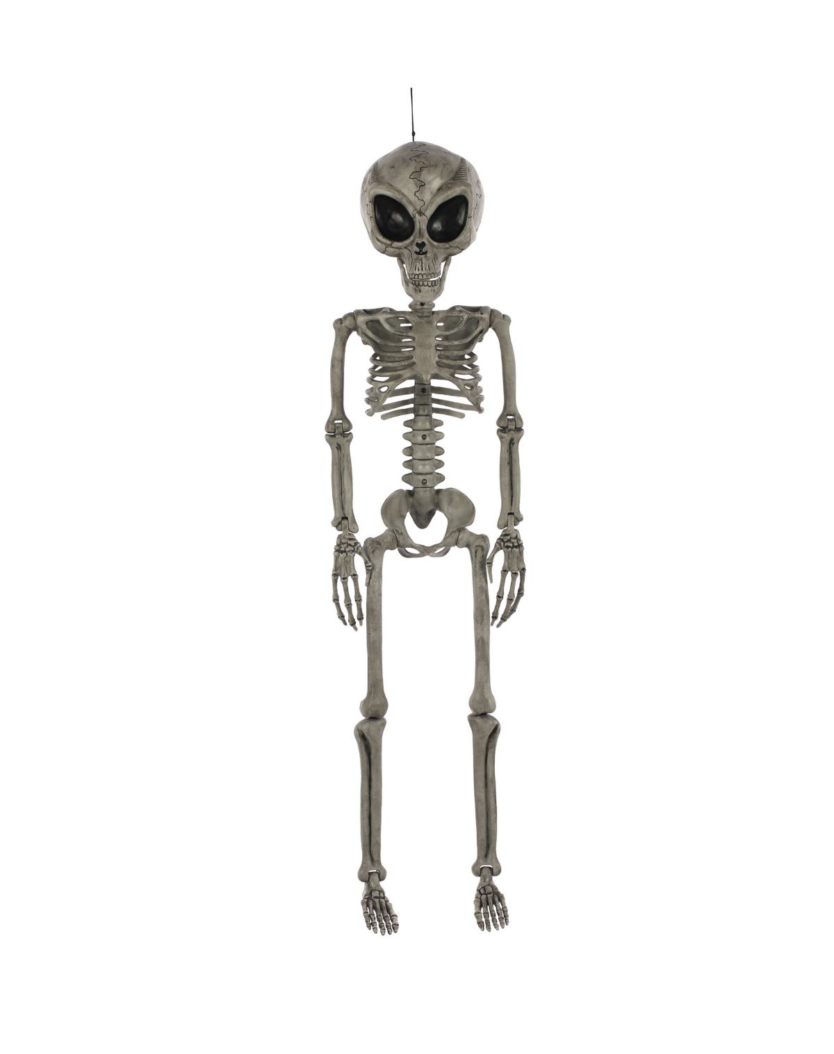 Alien Skeleton - 36 Inches - Image 2
