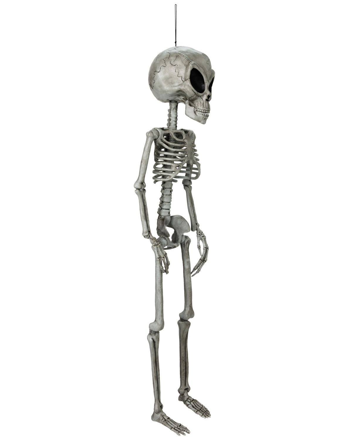 Alien Skeleton - 36 Inches - Image 3
