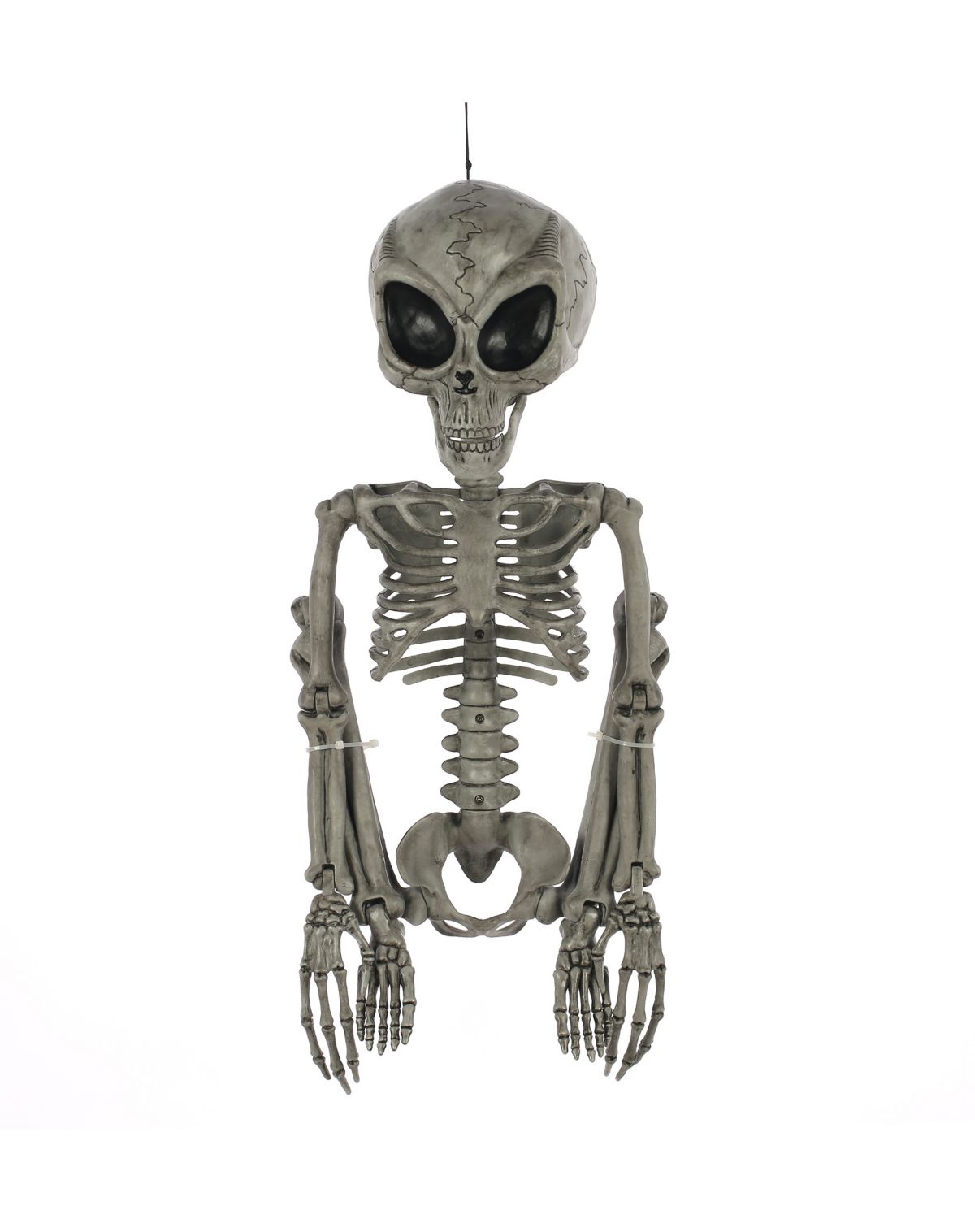 Alien Skeleton - 36 Inches - Image 4