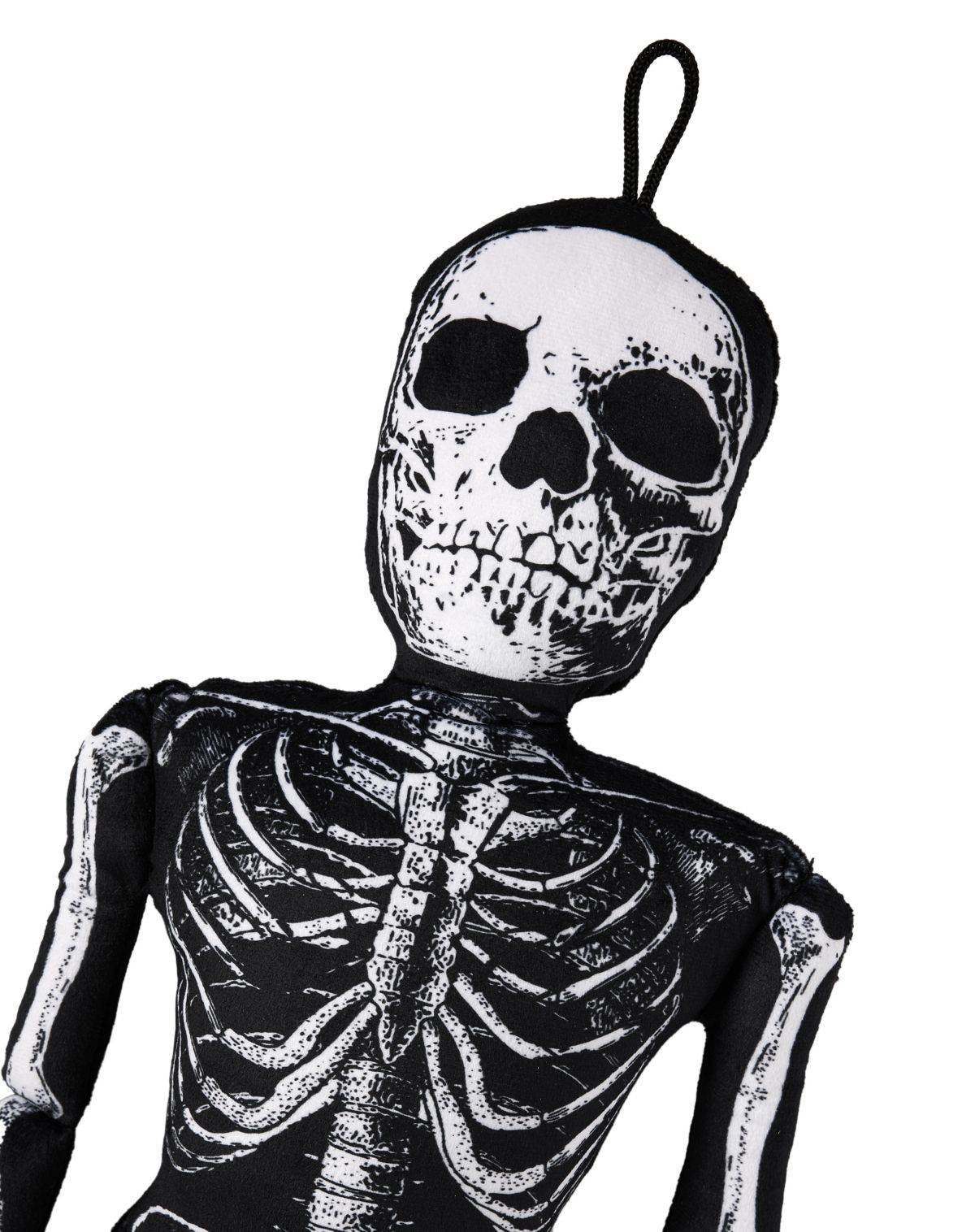 Mortimer Skelly Comfy Curiosity - Image 3