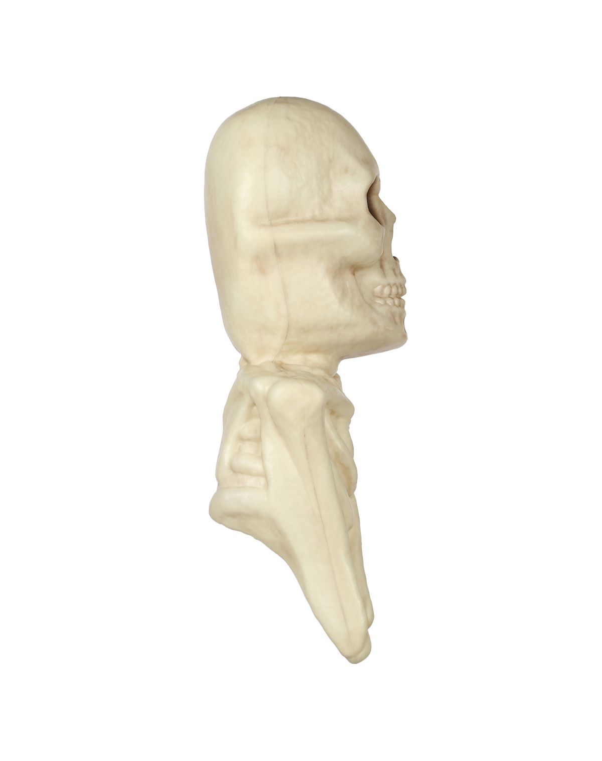 Skeleton Tree Mount Decoration - Image 3