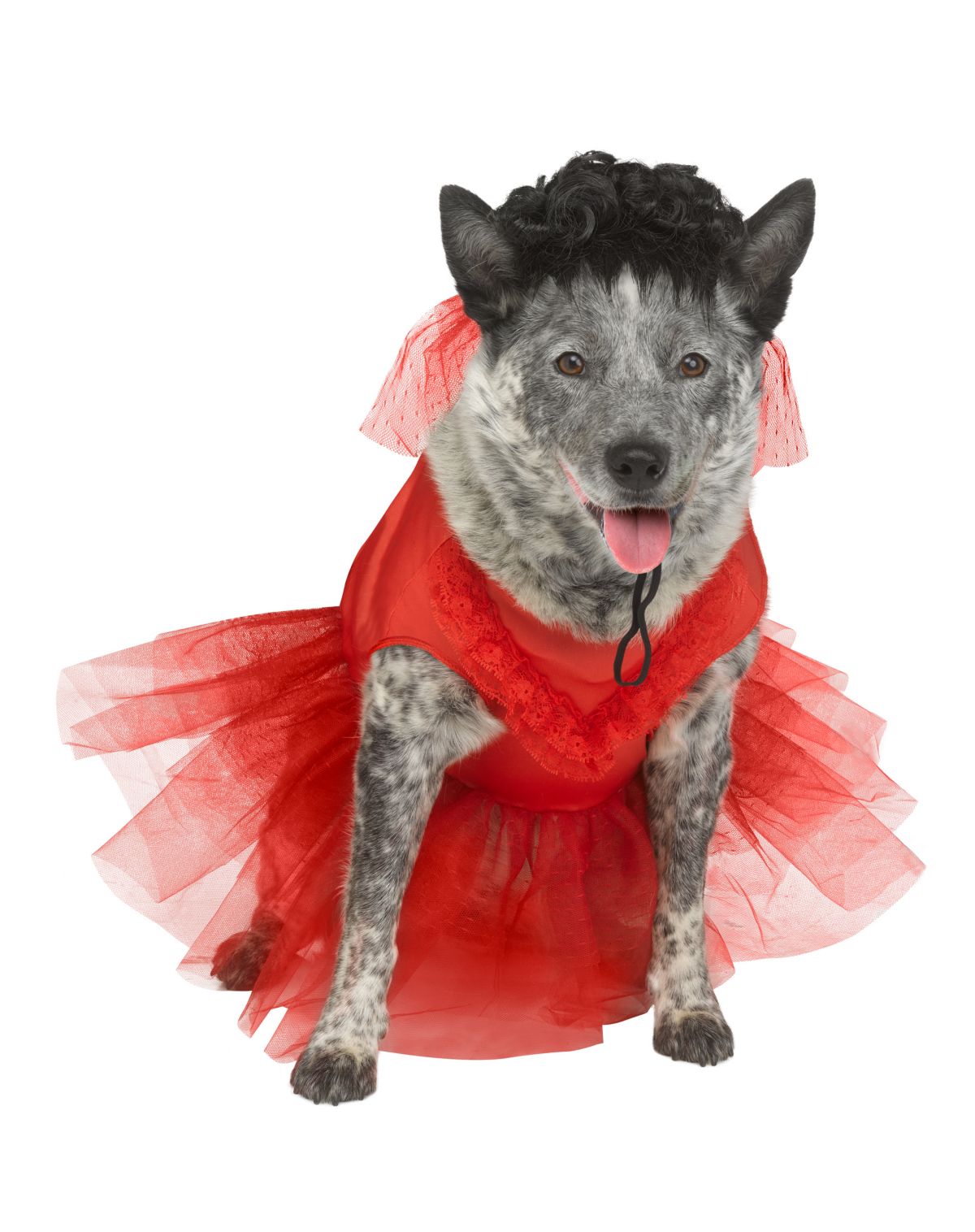 Lydia Deetz Pet Costume