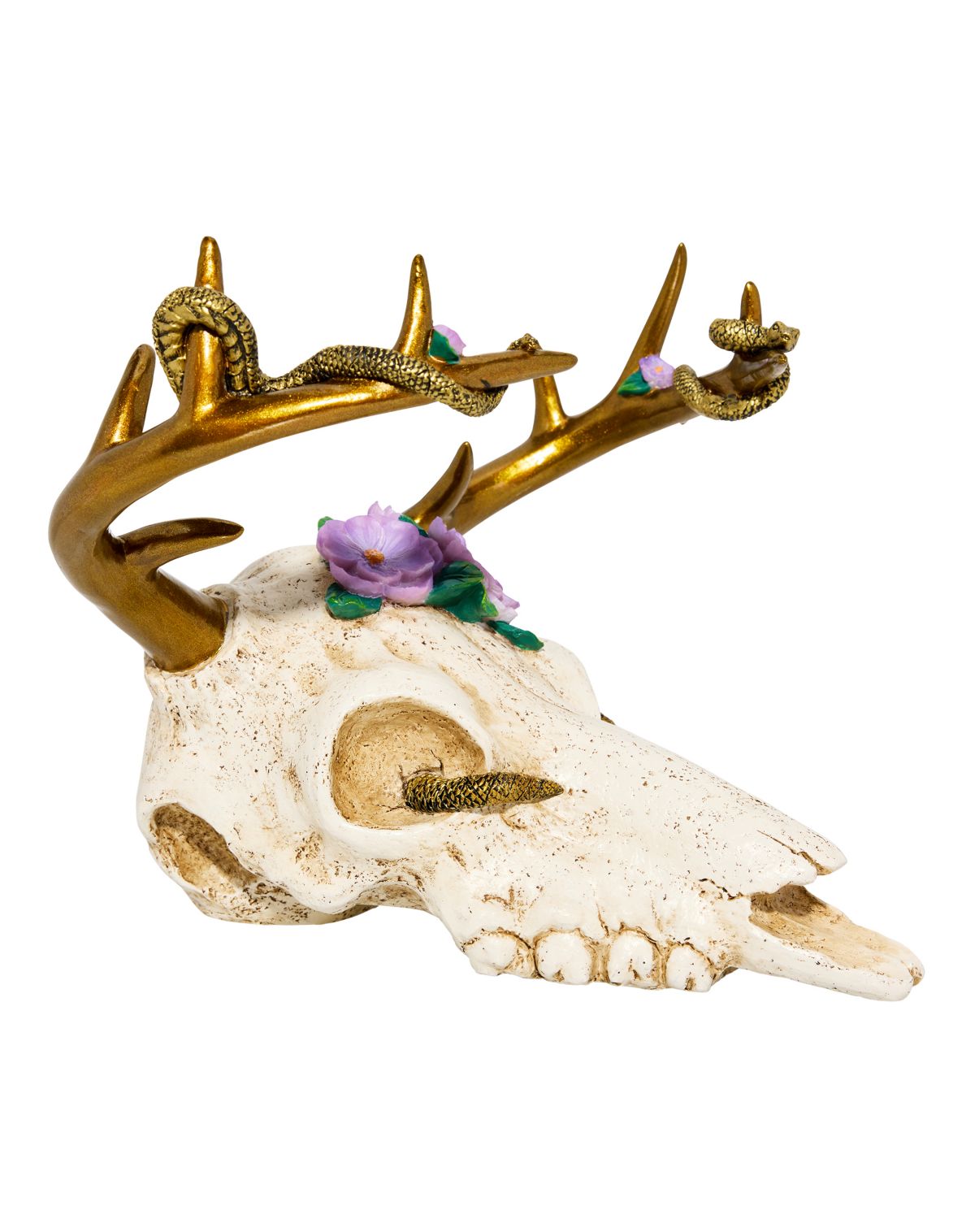 Medusa Antler Skull - Image 2