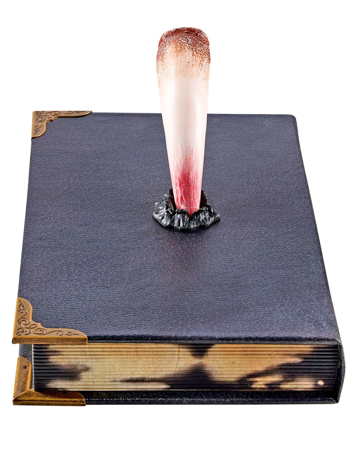 Tom Riddleu0027s Diary Book Box - Harry Potter