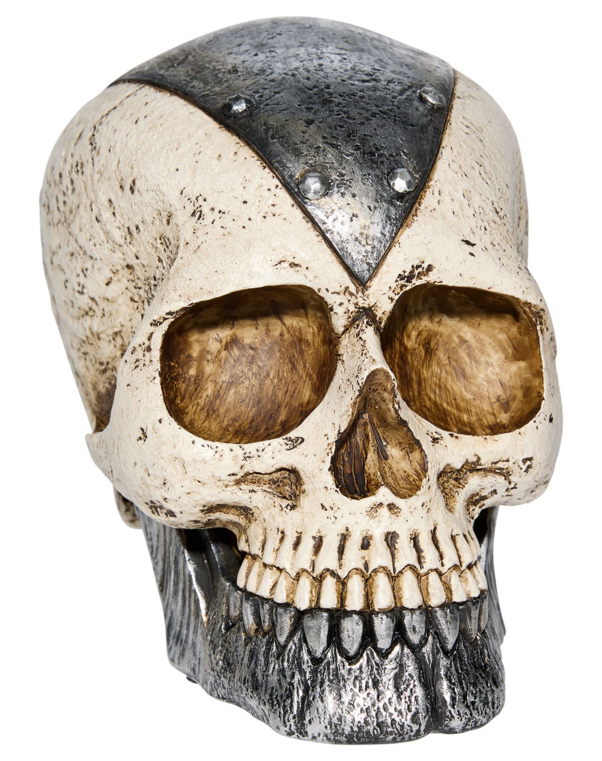 Skeleton Skull Snail
