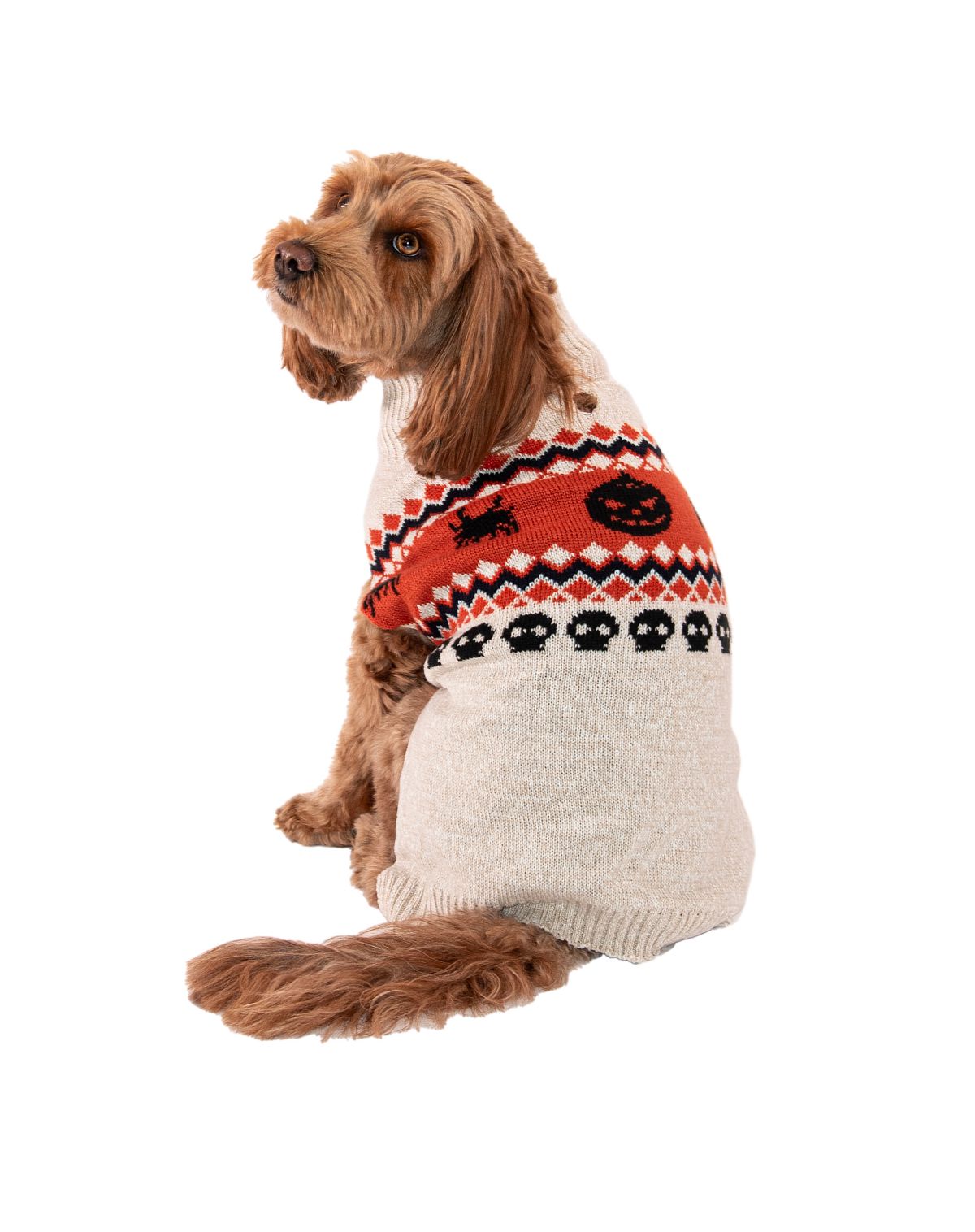 Pumpkin Pet Sweater