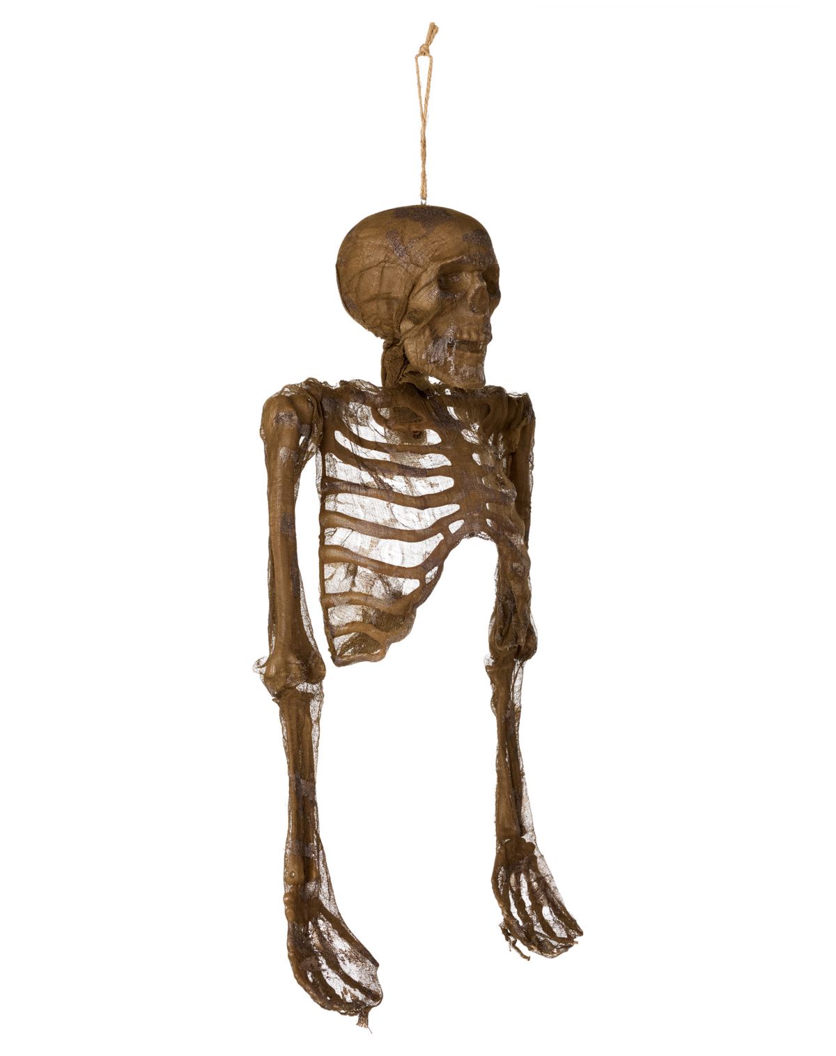Hanging Decaying Skeleton Half Body - Image 2
