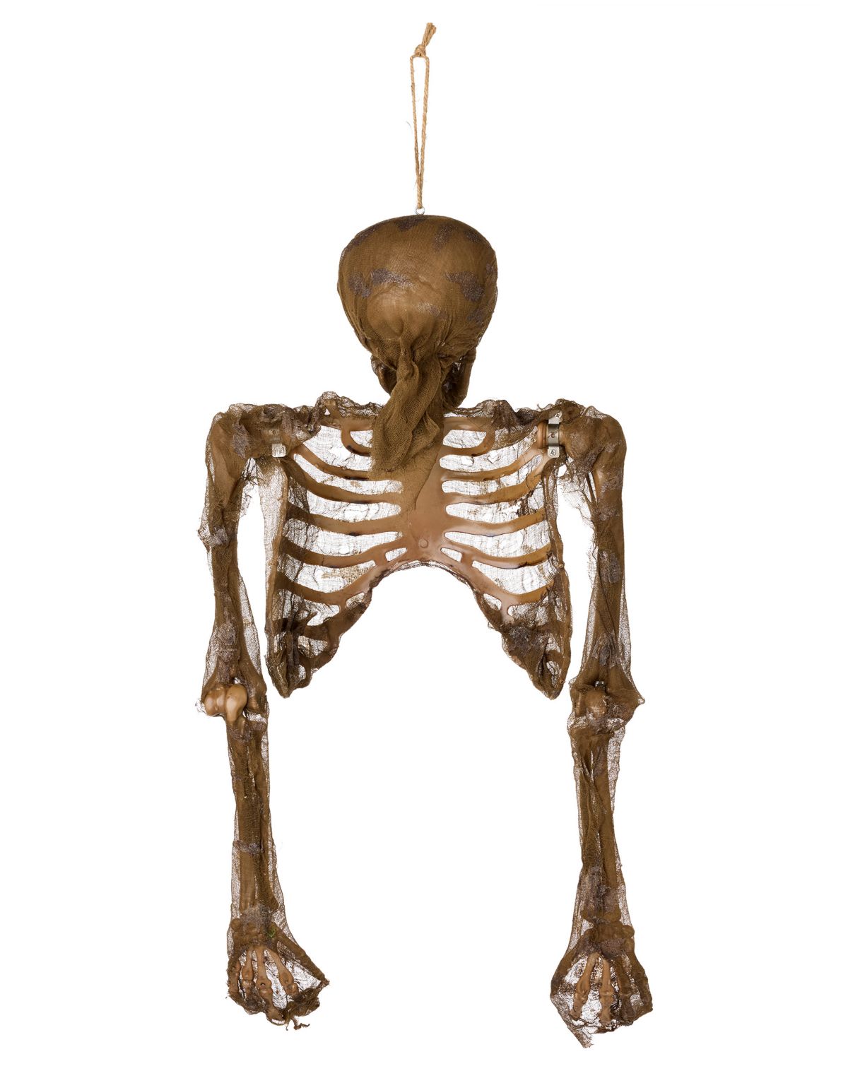 Hanging Decaying Skeleton Half Body - Image 3