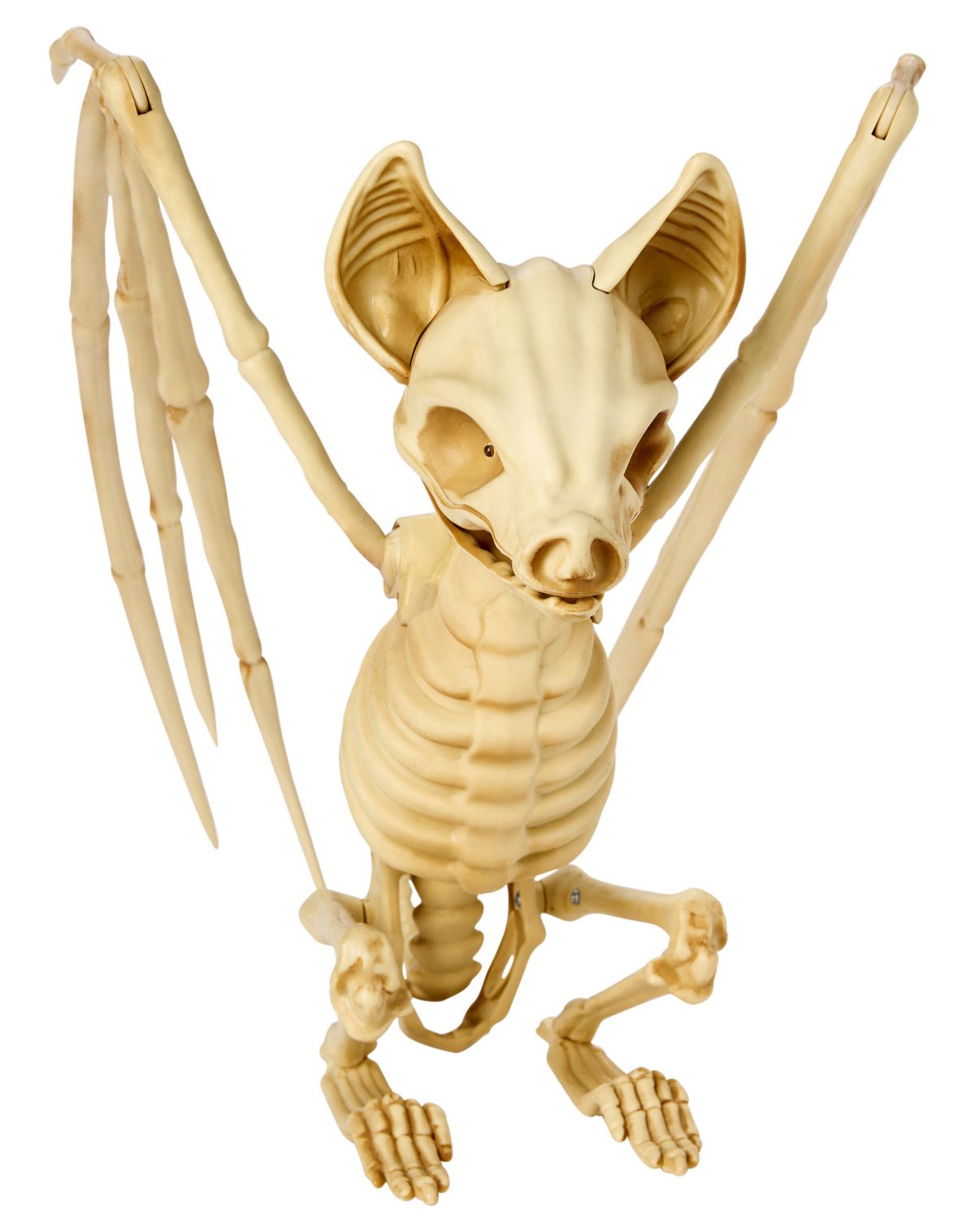 Skeleton Bat with LED Eyes
