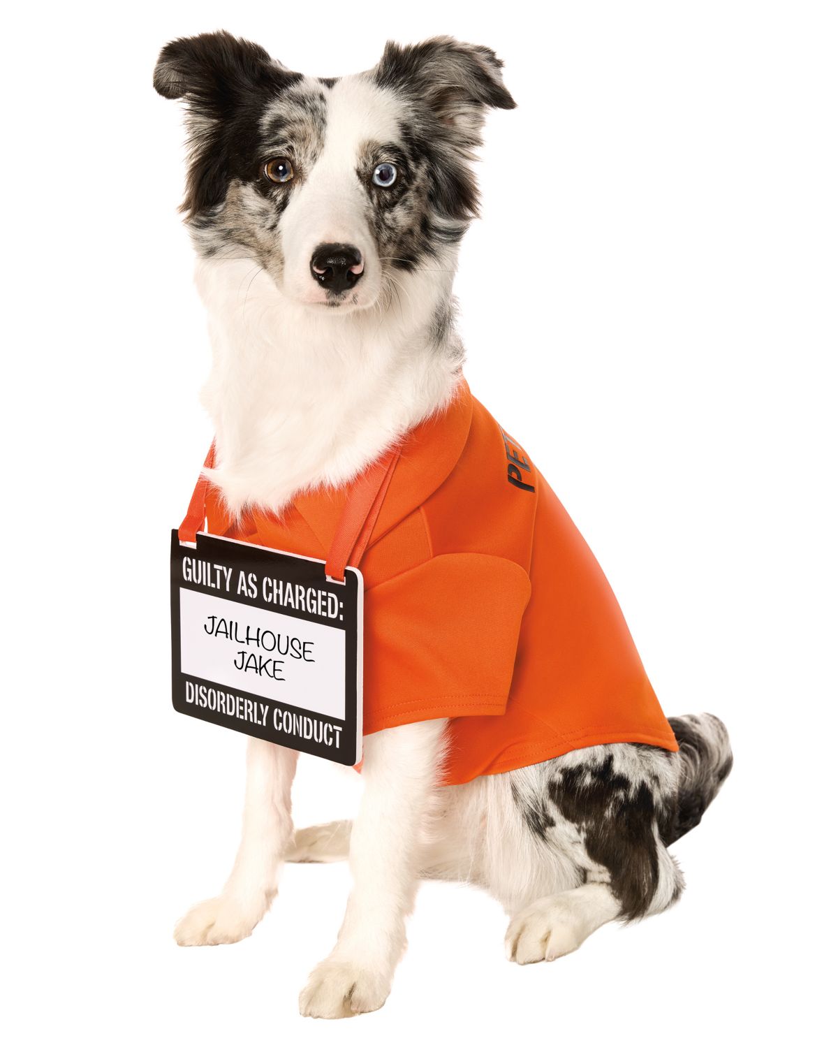 Convict Pet Costume