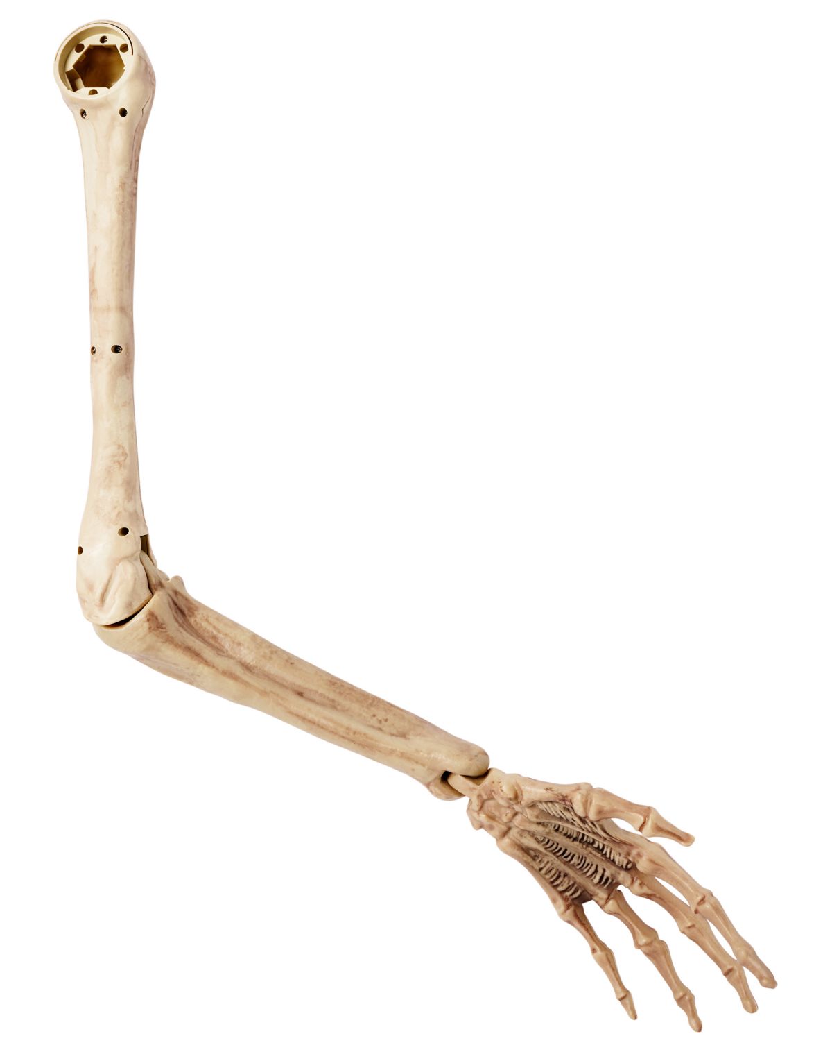 Skeleton Arm Prop - 2023 Spirit Hallows Cemetery - Image 3